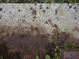 image of grave number 949672